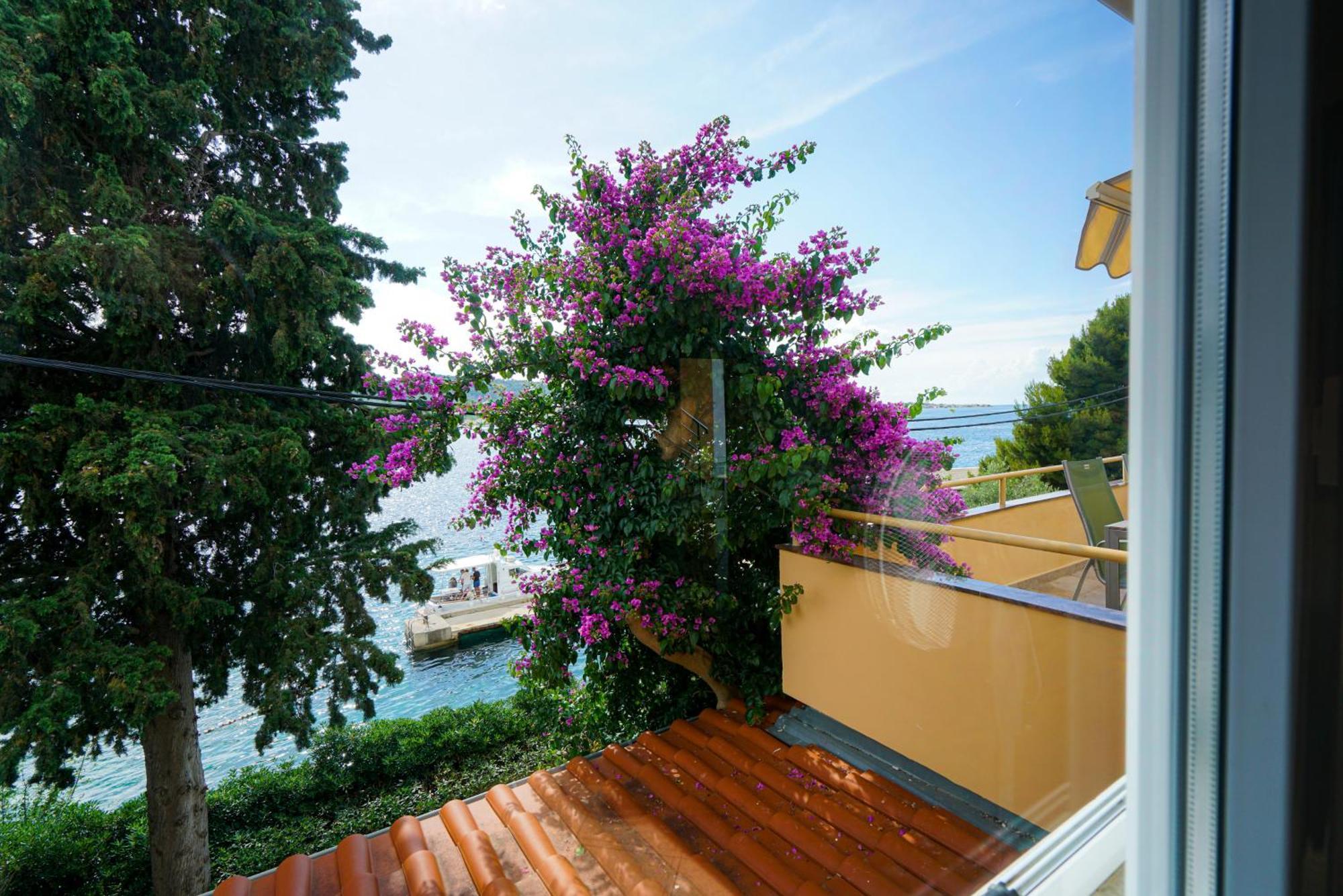 פרקו Apartments Osljak מראה חיצוני תמונה