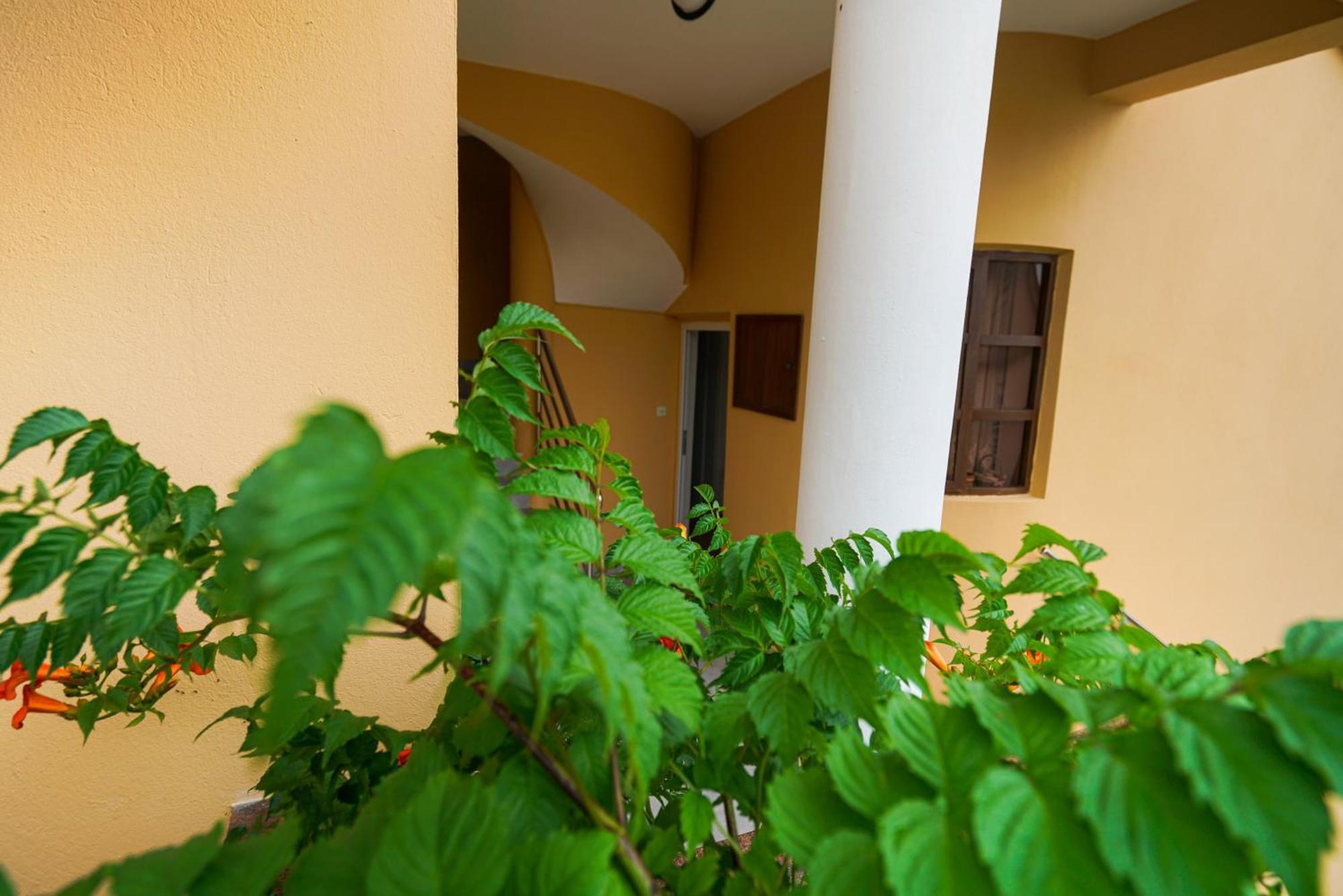 פרקו Apartments Osljak מראה חיצוני תמונה