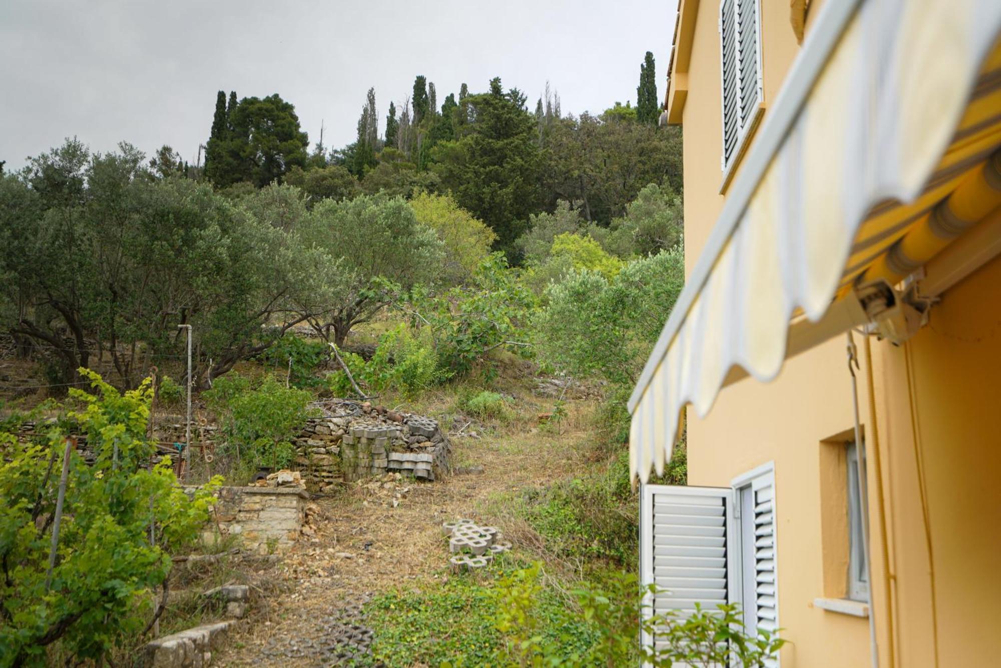 פרקו Apartments Osljak מראה חיצוני תמונה